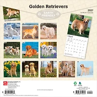 Golden Retrievers 2027 Carré