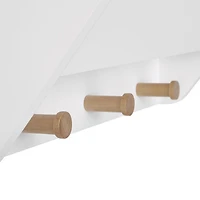 Kids Catch-All Wall Shelf with Hooks