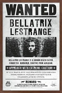 The Wizarding World: Harry Potter - Bellatrix Wanted Poster Wall Poster, 14.725" x 22.375"