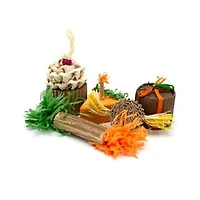 Oxbow Enriched Life Birthday Party Pack