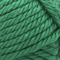 Lion Brand Hometown® Yarn #6 Super Bulky/ Chunky Yarn 142g/74 m 3-Pack