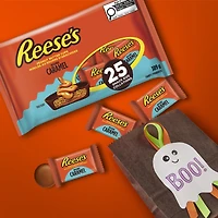 25ct Reese's Peanut Butter Cups with Caramel Snack Size 389g, 24pk, 25ct Reese's PBC with Caramel