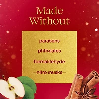 Glade Branchées® Huile parfumée Recharge, Apple of my Pie™ deux recharges