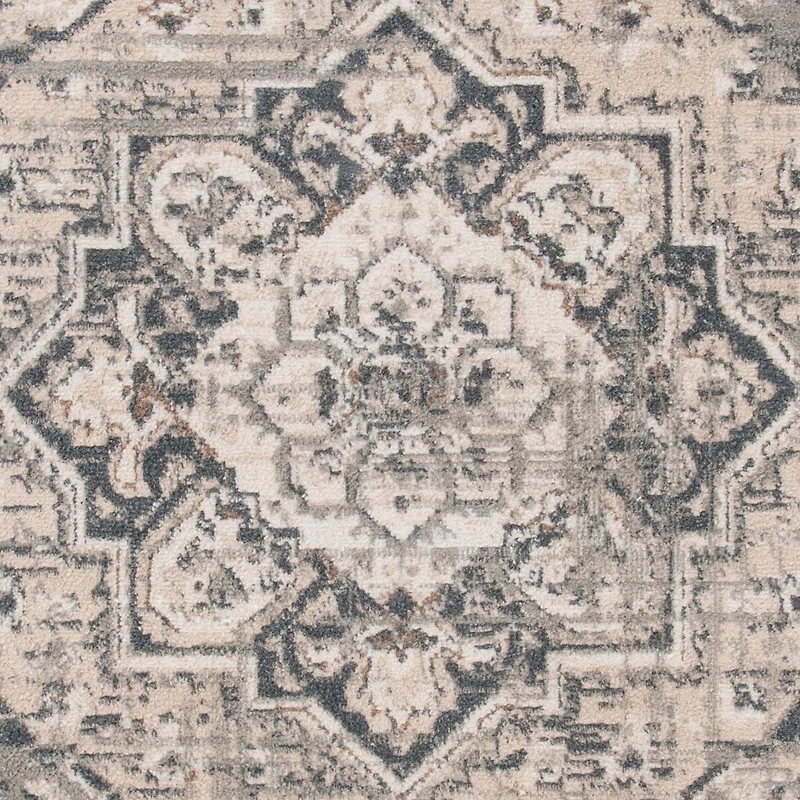 Safavieh Pyramid Jefferson Floral Bordered Area Rug