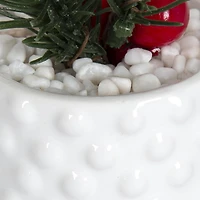 Faux pin miniature Yaga avec baies dans un pot blanc