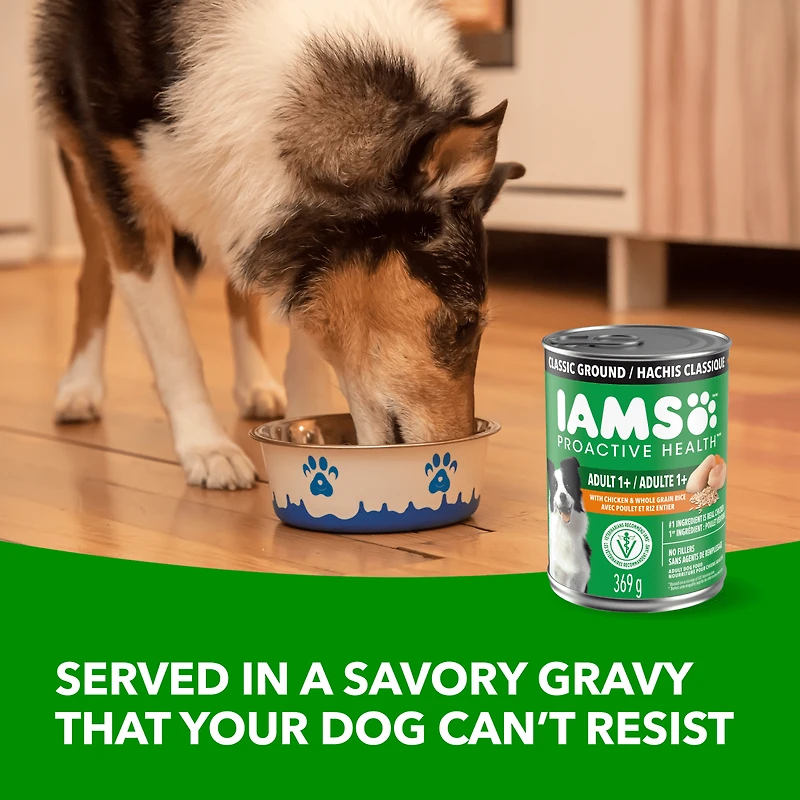 IAMS Proactive Health Chicken & Rice Adult Wet Dog Food