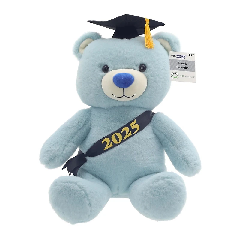 2025 Graduation 12" Blue Teddy Bear Plush