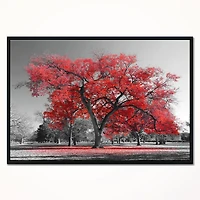 Designart Big Red Tree on Foggy Day FLOAT FRAME WALL ART