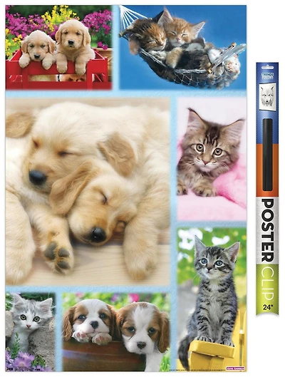 Keith Kimberlin - Collage de chiots et de chatons