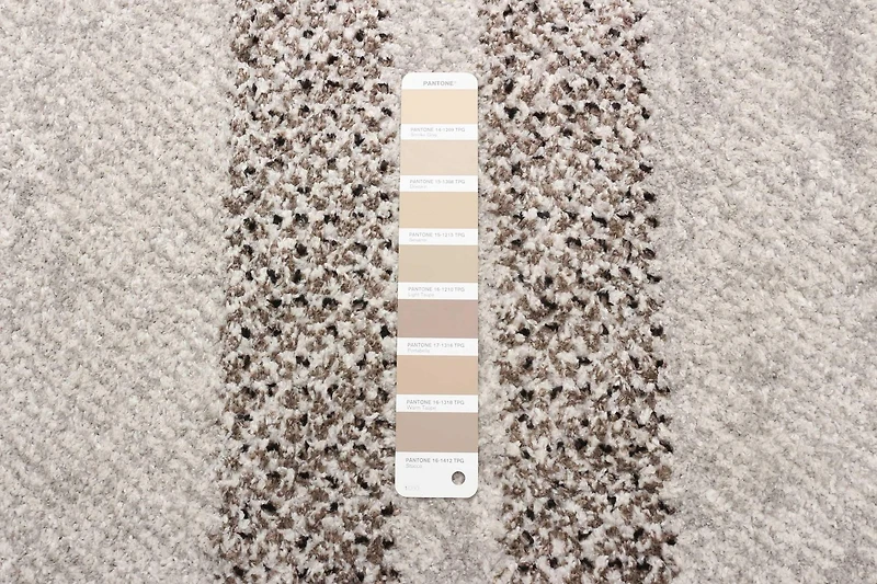 ECARPET Southwestern Rug for Hallway