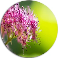 Art mural floral en métal Design Art Petites fleurs rose au fond vert ultra brillant en cercle