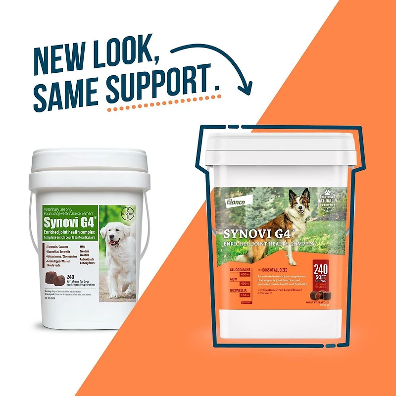 Synovi G4 supplément articulaire à mâcher pour chiens de tous âges, tailles et races