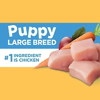 Iams Large Breed Puppy Chicken & Whole Grains Recipe Dry Dog Food, 6.8-13.88kg