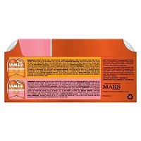 IAMS Perfect Portions Pâté Healthy Adult Recette au poulet et Recette au saumon sans céréales 12x75g