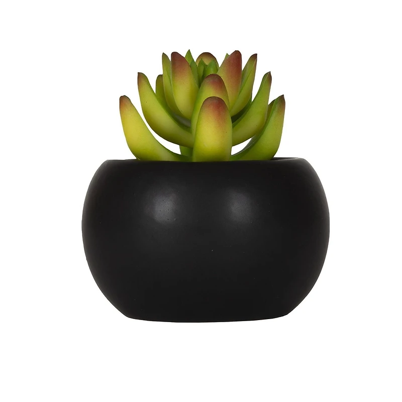 Hometrends Kelvin Succulent A