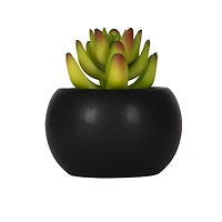 Hometrends Kelvin Succulent A