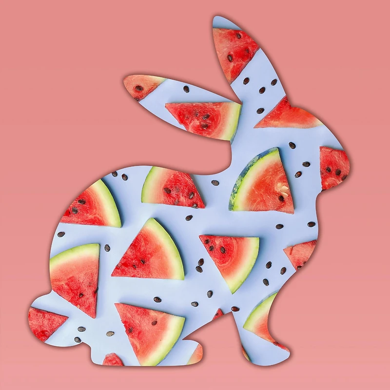 St. Ives Watermelon Face Moisturizer