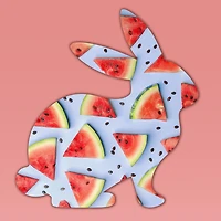 St. Ives Watermelon Face Moisturizer