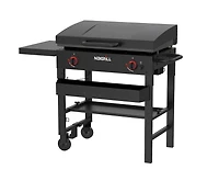Daytona 2-Burner Propane BBQ Gas Griddle in Black with Hinged Lid