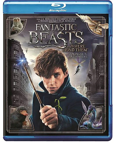 Fantastic Beasts And Where To Find Them (Blu-ray) (Bilingual)