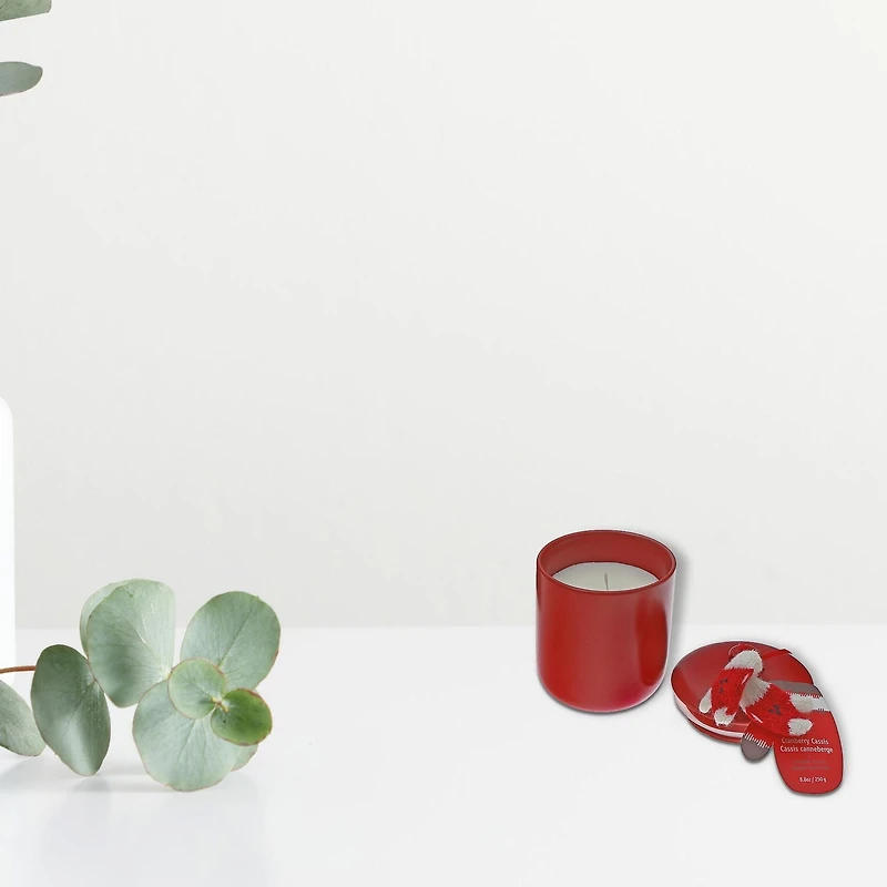 Bougie 8,8 Oz Et Gant Tricoté Canneberge Cassis