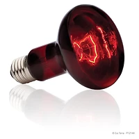Ampoule à infrarouge Exo Terra pour lézarder, R25, 100 W