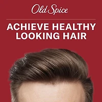 Old Spice Deep Clean Shampoo for Men with Charcoal, Fresh and Clean Scent, Removes Built Up Dirt and Oil, 400ML
