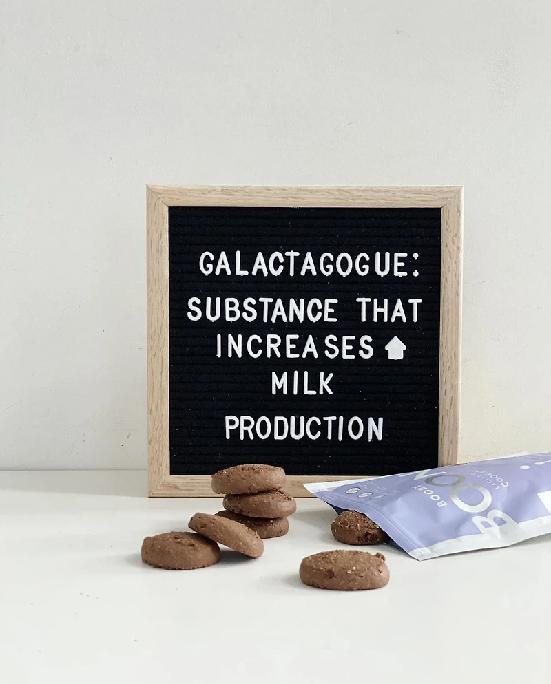 Biscuits de lactation Quinoa au cacao
