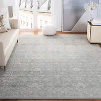 Safavieh Evoke Denica Tapis Traditionnel