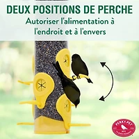 Perky-Pet Finch Feeder, Holds up to 1.5 lb of Nyjer / thistle seed