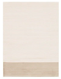 ECARPET Modern Area Rug for Living Room, Dining Room and Bedroom Madison Collection