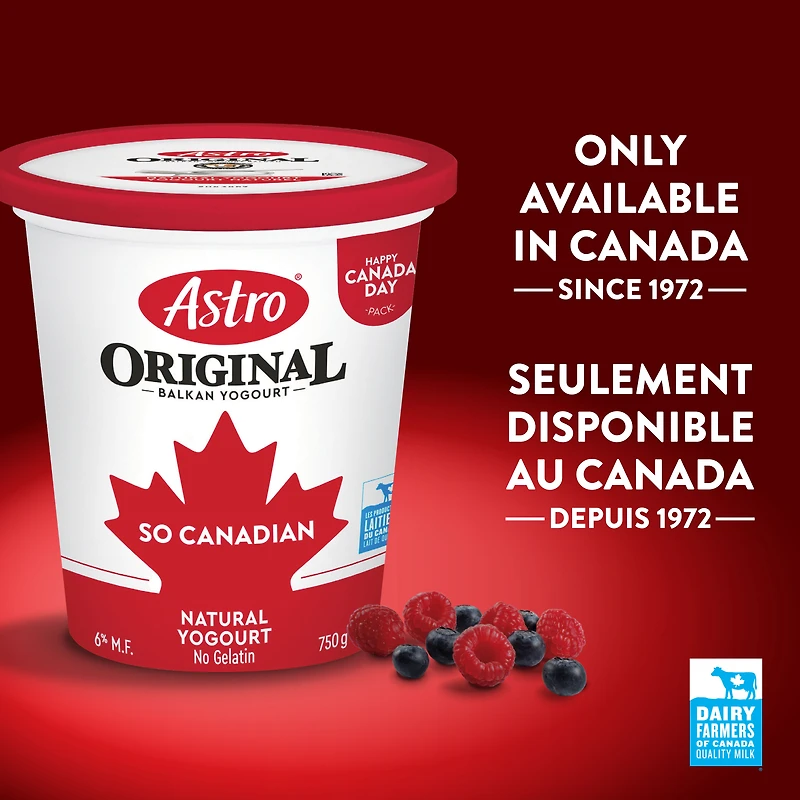 Astro Original Balkan Style Plain Yogurt 6%