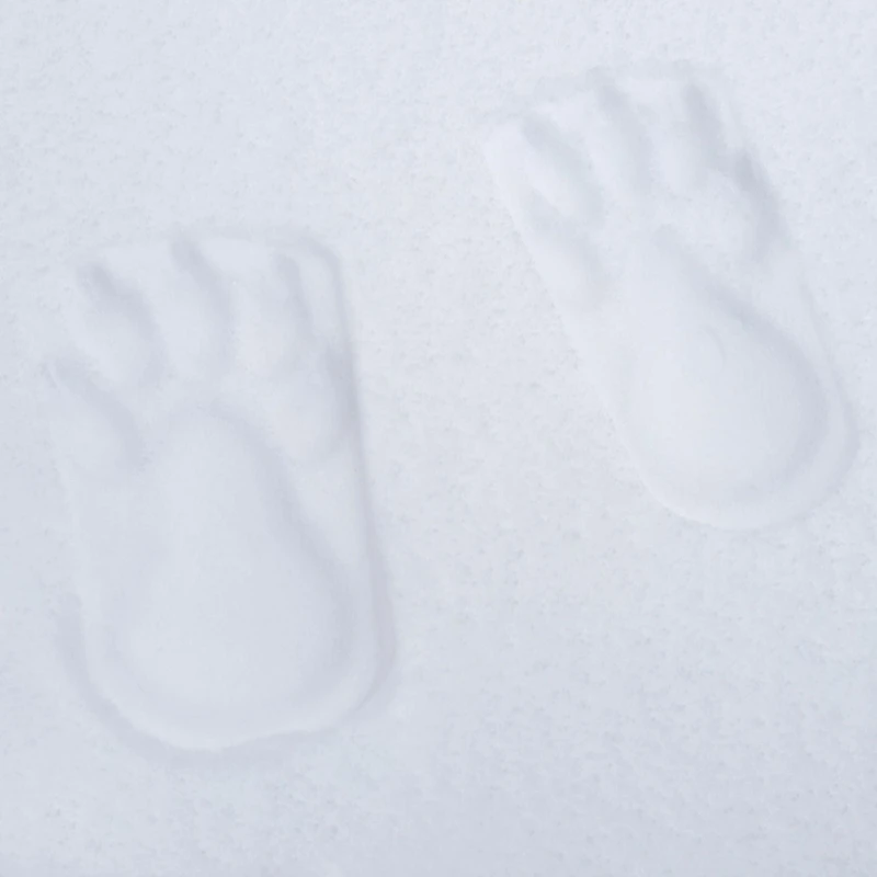 Tampon de Neige- Traces de Pattes d'ours sur la neige