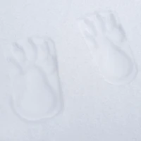 Tampon de Neige- Traces de Pattes d'ours sur la neige