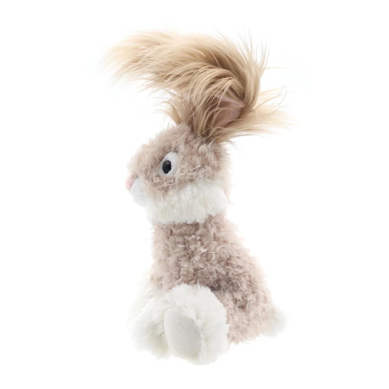 Façon de célébrer le lapin moyen moelleux, beige