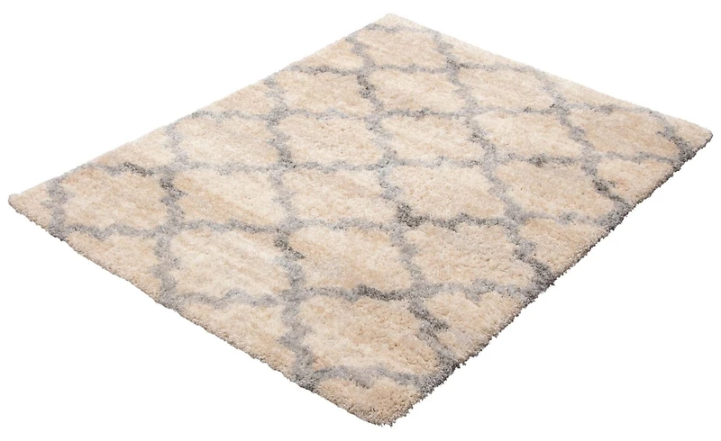 ECARPET Trellis Frieze Area Rug Fluffy Carpet for Bedroom, Ultra Soft & Plush Annica Collection