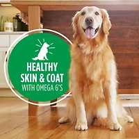 IAMS Proactive Health Beef & Rice Adult Wet Dog Food, 369g