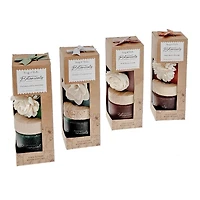 Arôme Botanique 4,06 Oz Diffuseur De Pot Sola Fleur - Ensemble De 4