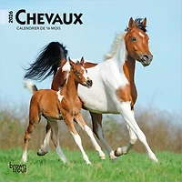 Chevaux 2026 Mini 7x7 FRANÇAISE BTCA