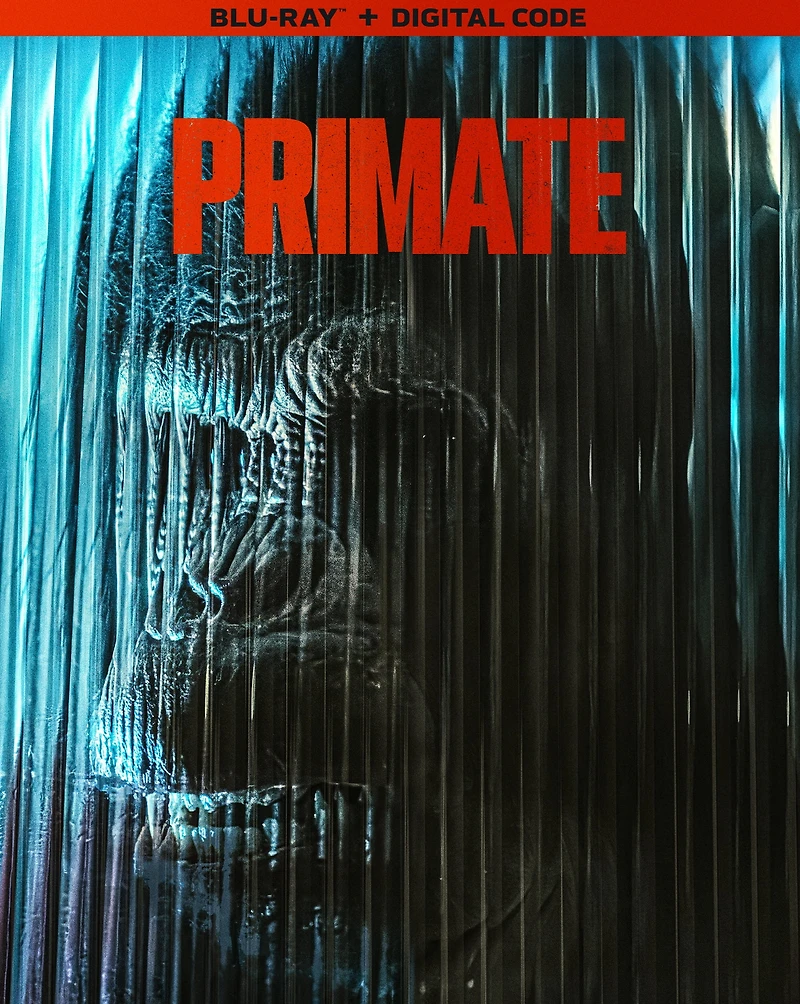 Primate BD_fr
