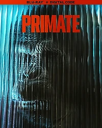 Primate BD_fr