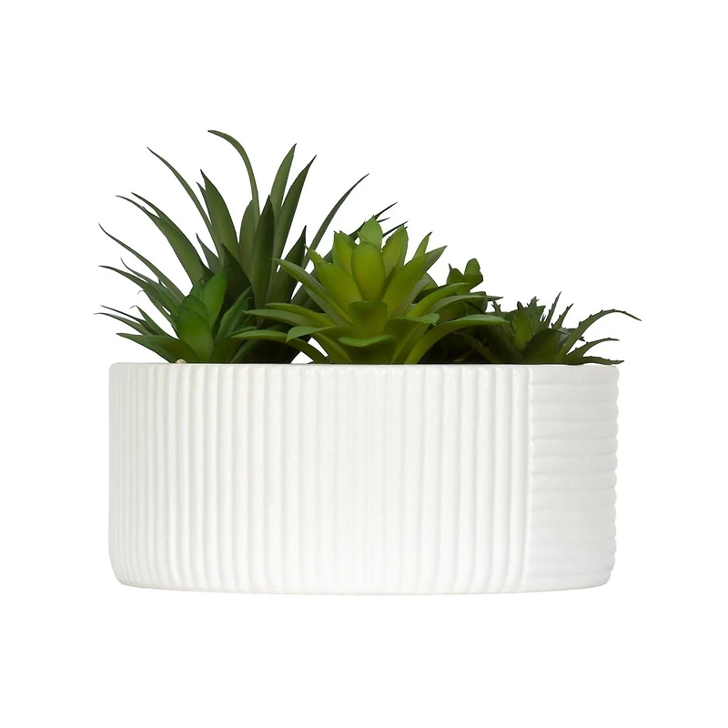 DesignOvation Succulentes artificielles de table de 15, cm de haut dans un pot blanc nervuré