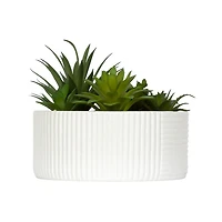 DesignOvation Succulentes artificielles de table de 15, cm de haut dans un pot blanc nervuré