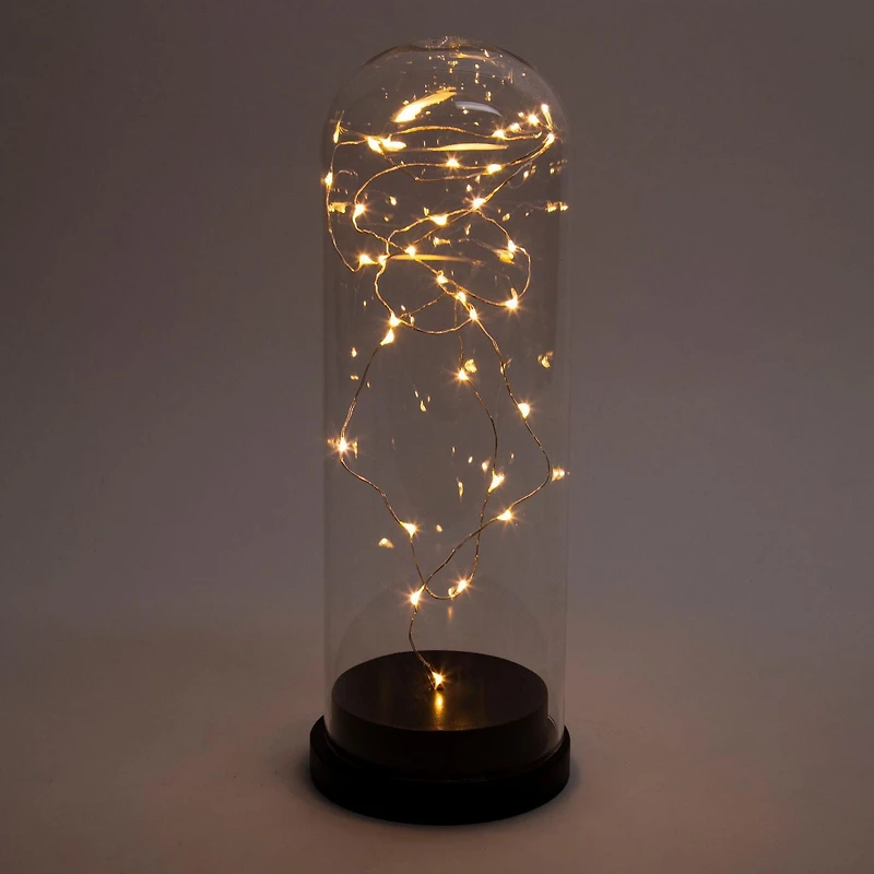 Truu Design Cloche de verre avec guirlande lumineuse à LED