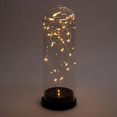 Truu Design Cloche de verre avec guirlande lumineuse à LED
