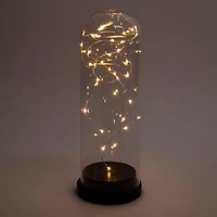 Truu Design Cloche de verre avec guirlande lumineuse à LED