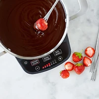 Ricardo Digital Electric Fondue Set, 11 Pieces, 3L (3.2Qt) Fondue Pot, Settings for Chineese Fondue, Cheese Fondue and Chocolate Fondue, 1200 Watts
