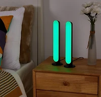 SMART LIGHT
