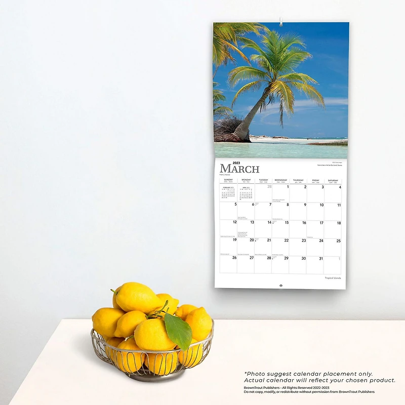 Tropical Islands 2023 Square