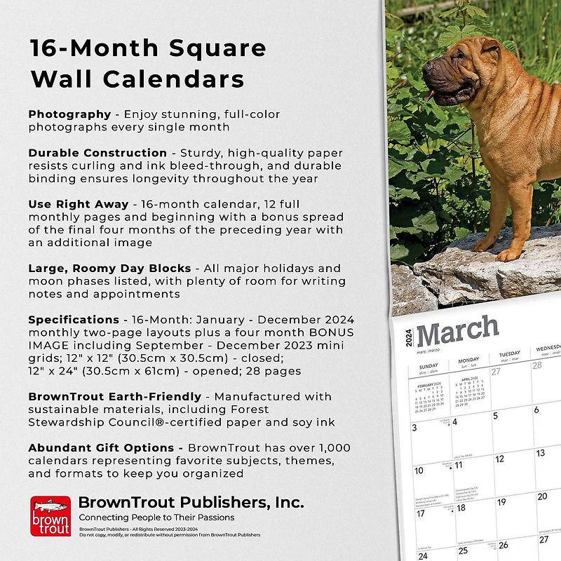 BrownTrout Shar Pei 2024 12x24 Inch Square Wall Calendar, 9781975464950